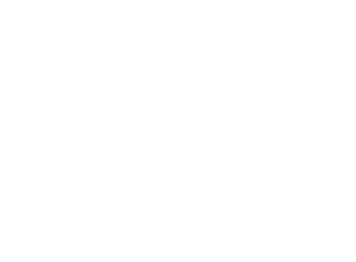 Erhart IT Consulting