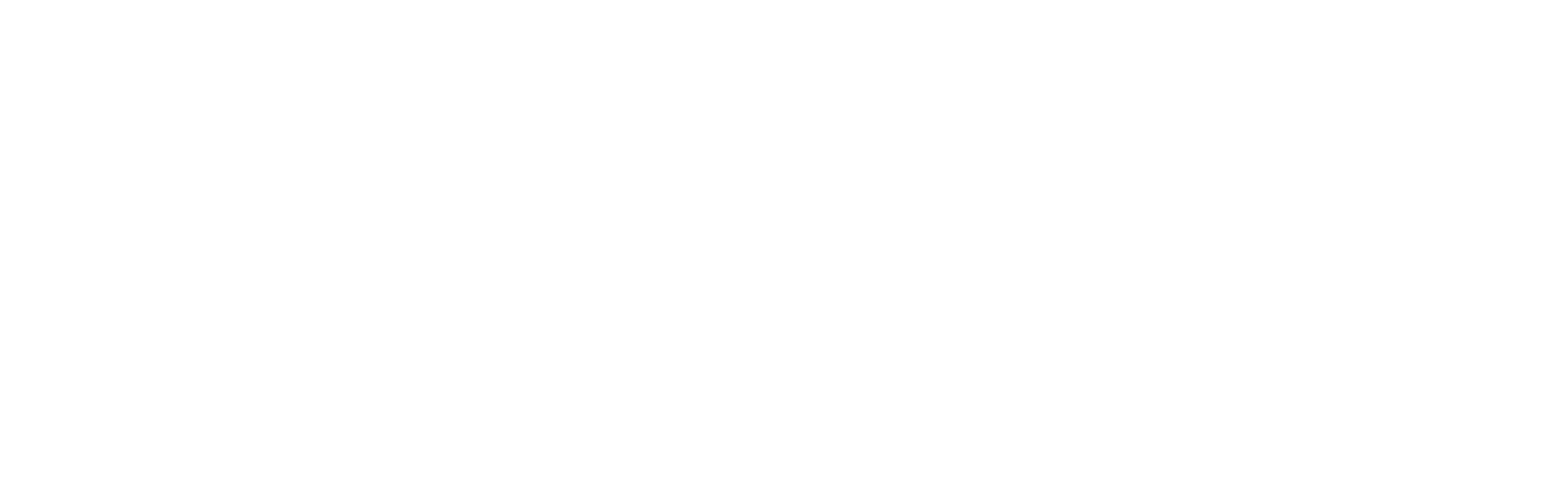 Alexinaer IT-GmbH